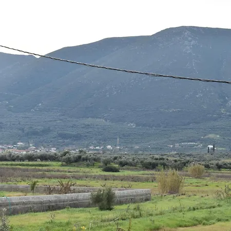 Olympian Gods Apartahotel Alykanas (Zakynthos)