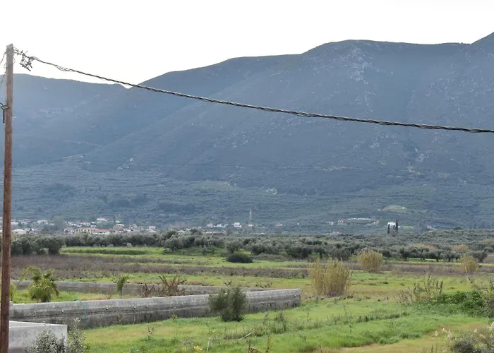 Olympian Gods Apartahotel Alykanas (Zakynthos)